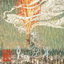 Trepanation cover
