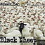 Black Sheep cover