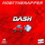 Dash cover