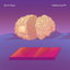 Brain Tourist cover