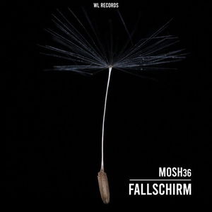 Fallschirm