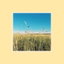 Honey cover