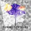 Dummy Contrary cover