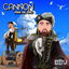 Cannon cover