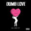 Dumb Love cover