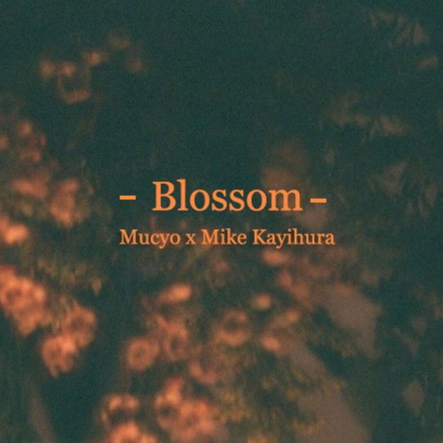 Blossom