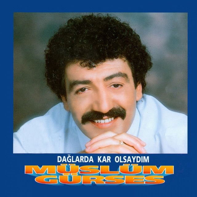 Dağlarda Kar Olsaydım