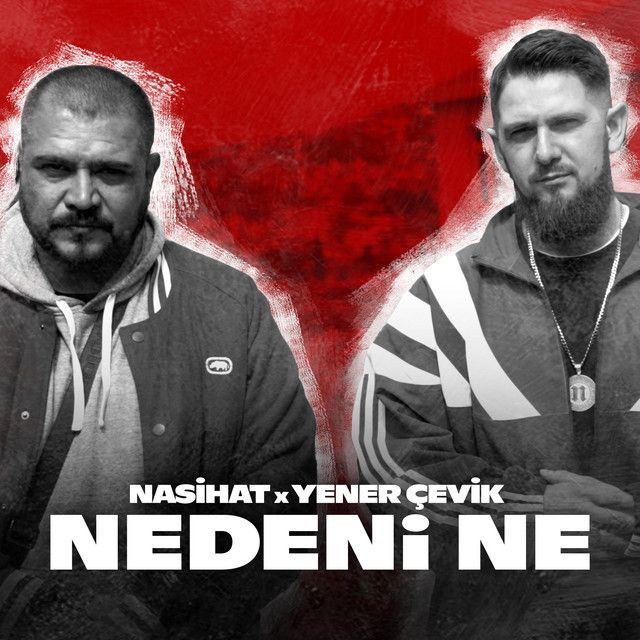 Nedeni Ne