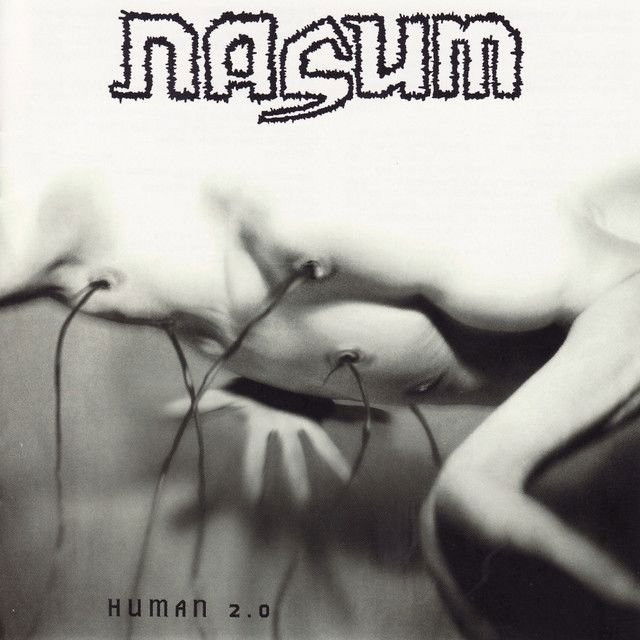 Nasum profile