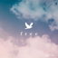 Free cover