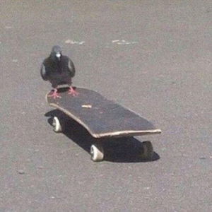 Kickflips