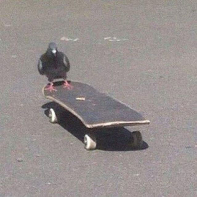 Kickflips