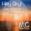 Hey Sky (Take Off Your Hat) cover