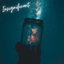 Insignificant cover