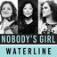 Waterline cover