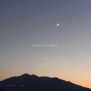 Dream Too Much