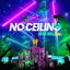 No Ceiling cover