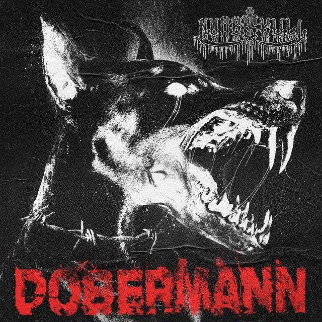 Dobermann