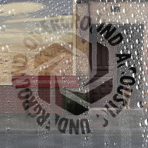 The rain