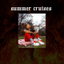 Summer Cruises cover