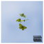 SexDrogCa$h cover