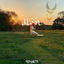 Noor (Light) cover