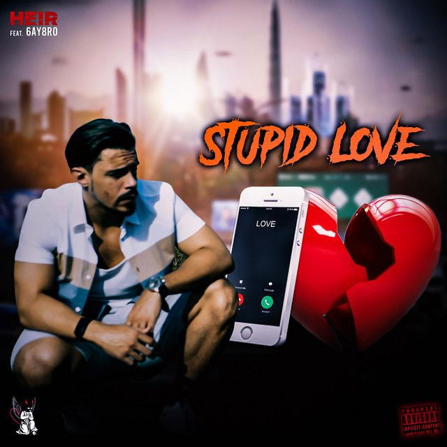 Stupid Love