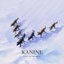 Chosen cover