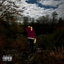 Wild cover