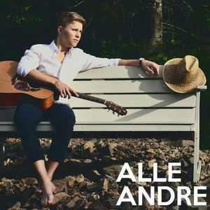 Alle Andre