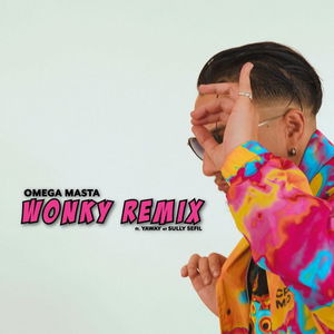 Wonky Remix