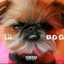 Lil Dog (No Hook) cover