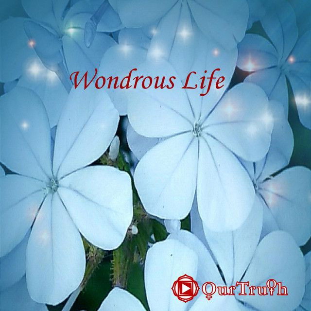 Wondrous Life