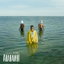 ARABAMBI cover