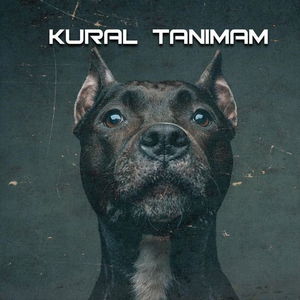 Kural Tanımam