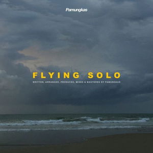 Flying Solo