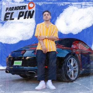 El pin