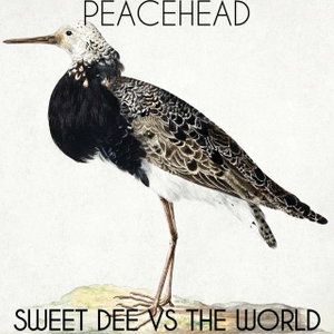 Sweet Dee VS the World
