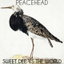 Sweet Dee VS the World cover