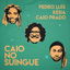 Caio No Suingue cover