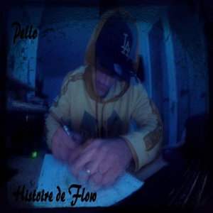 Histoire de flow