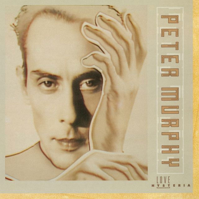 Peter Murphy profile