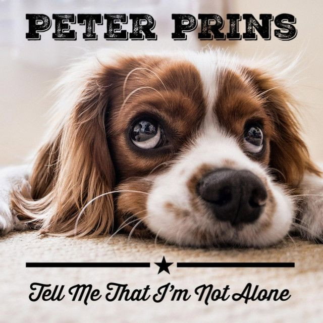 Tell Me That I'm Not Alone