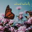 antisocial butterfly cover