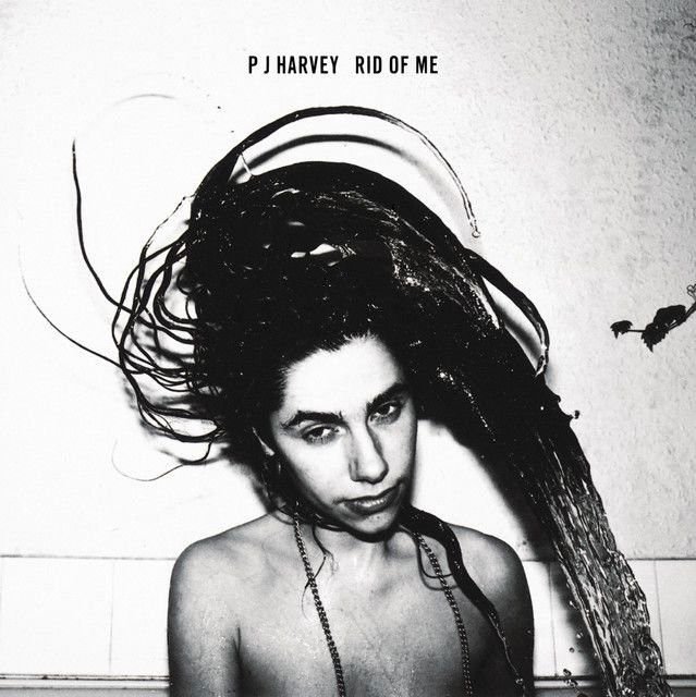 PJ Harvey profile