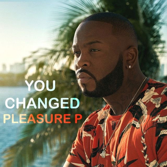 Pleasure P profile