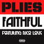 Faithful cover