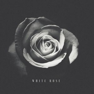 White Rose