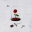 Me You cover