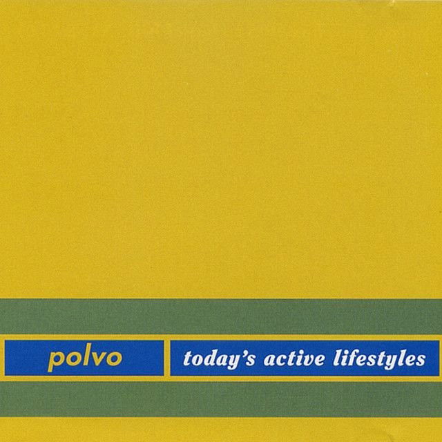 Polvo profile